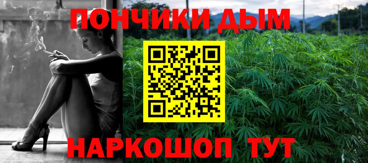 Канабис конопля Асино